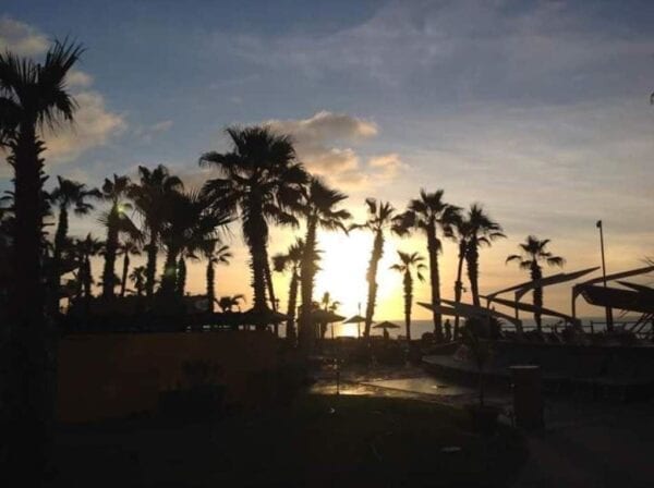 A sunset with palm trees and the sun setting.